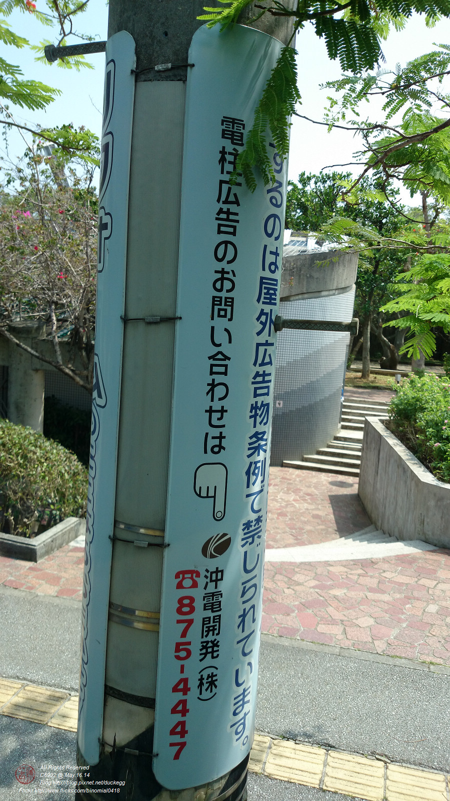 DSC_3016.jpg